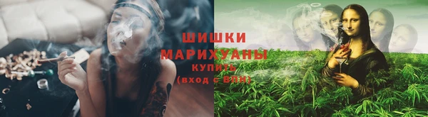 прущие крисы Новозыбков
